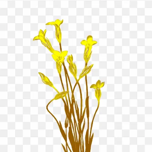 png image of yellow flower